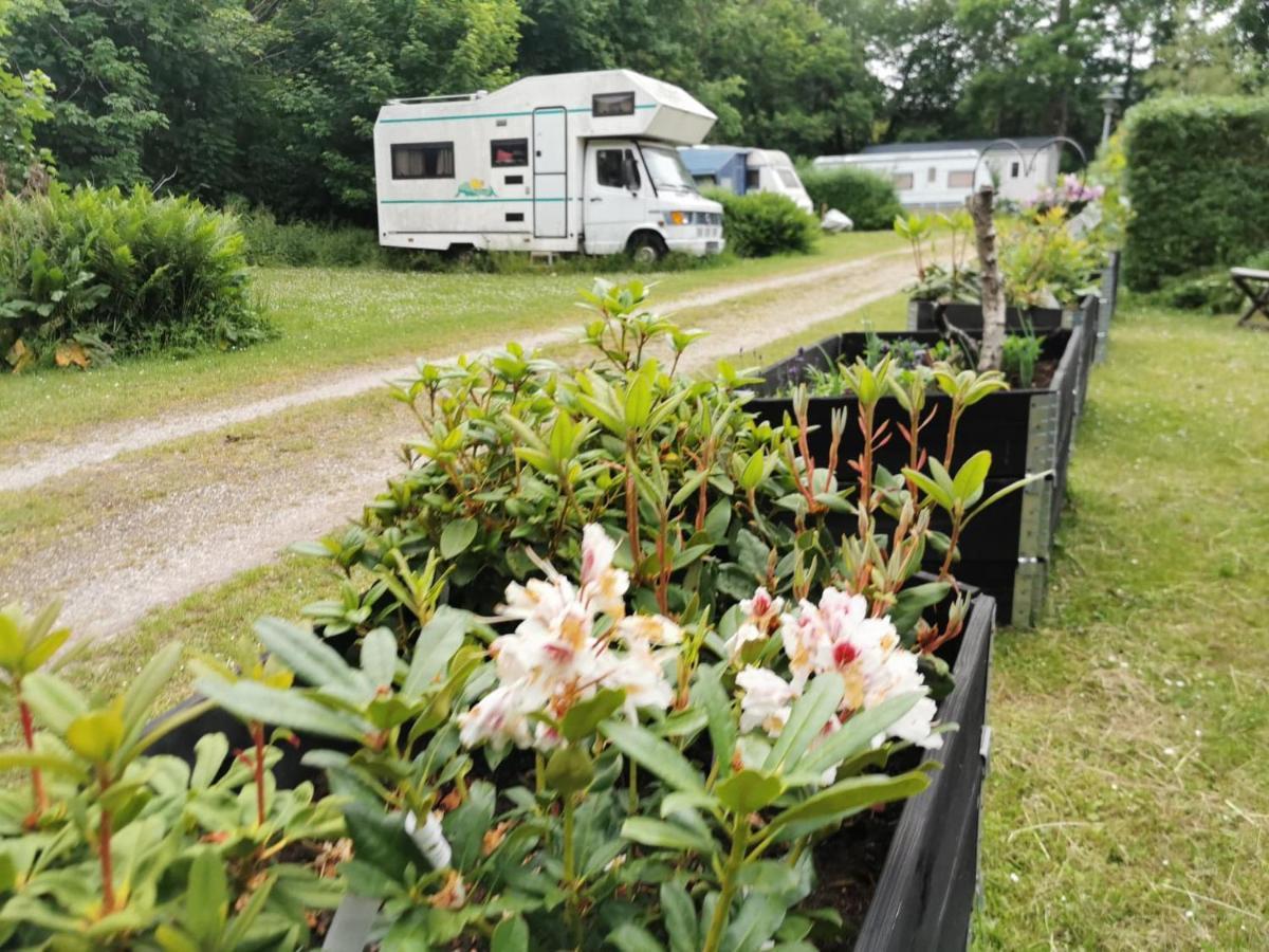 Frederiksvaerk Camping & Hostel Exterior photo