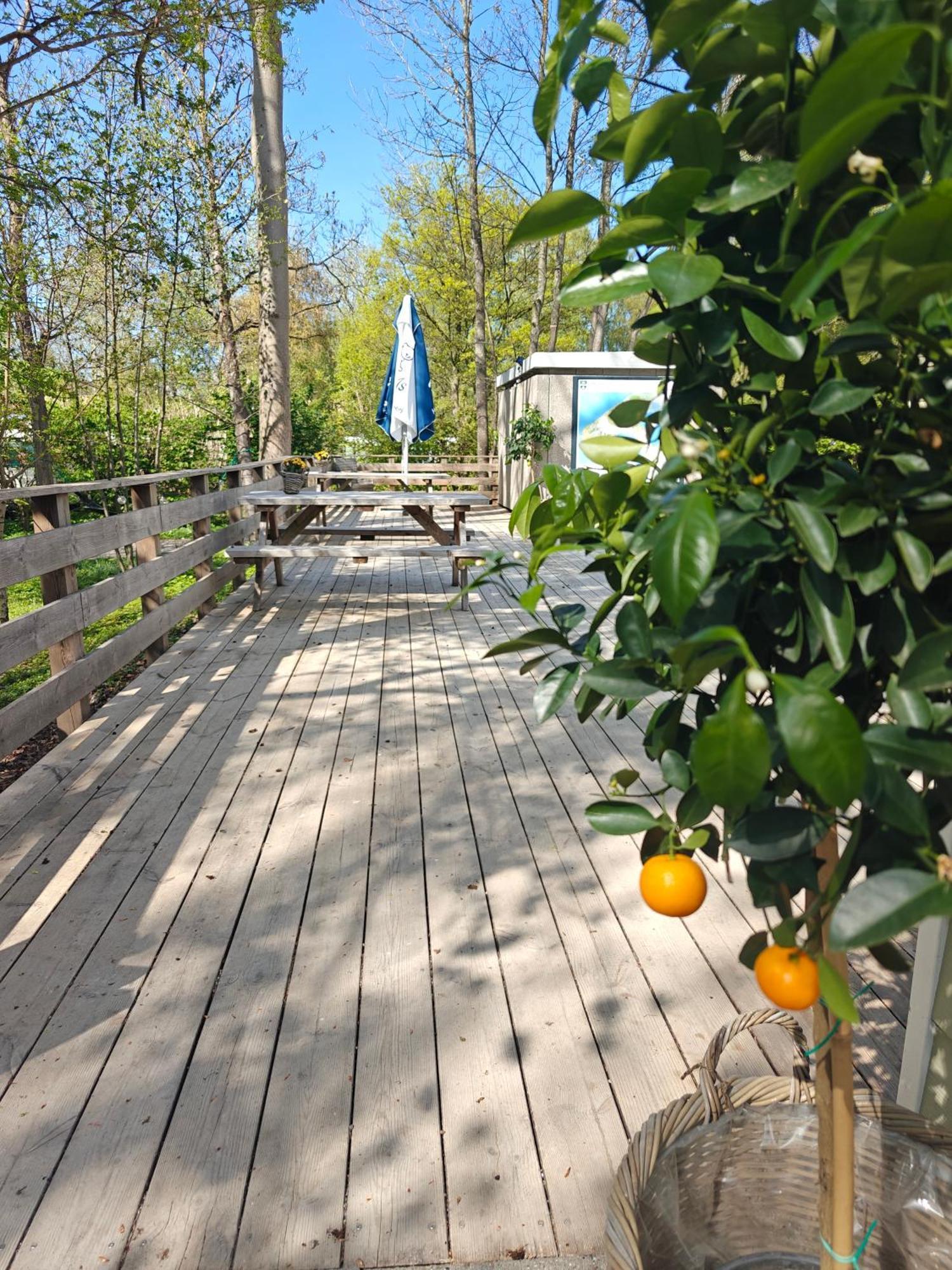 Frederiksvaerk Camping & Hostel Exterior photo